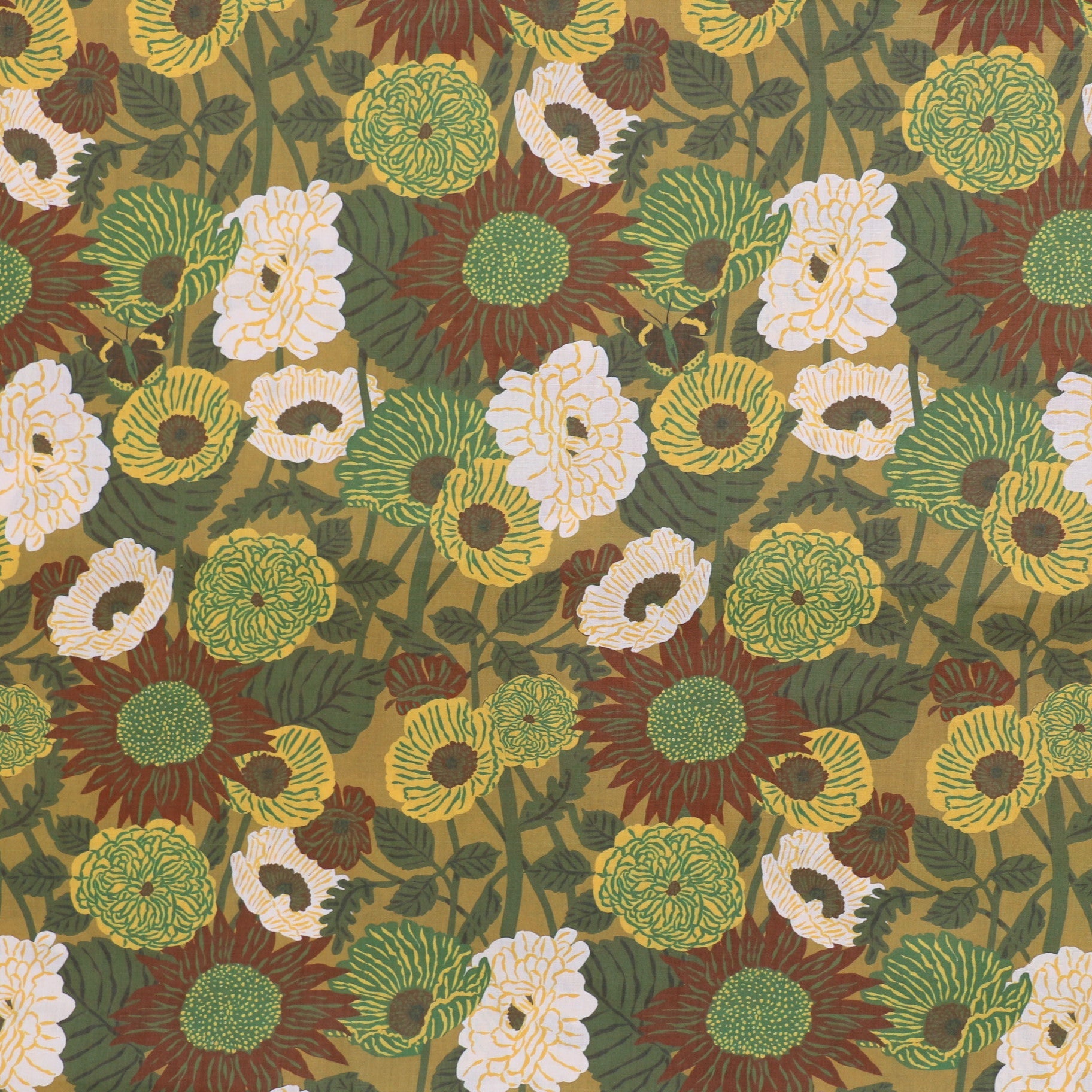Cotton قطن