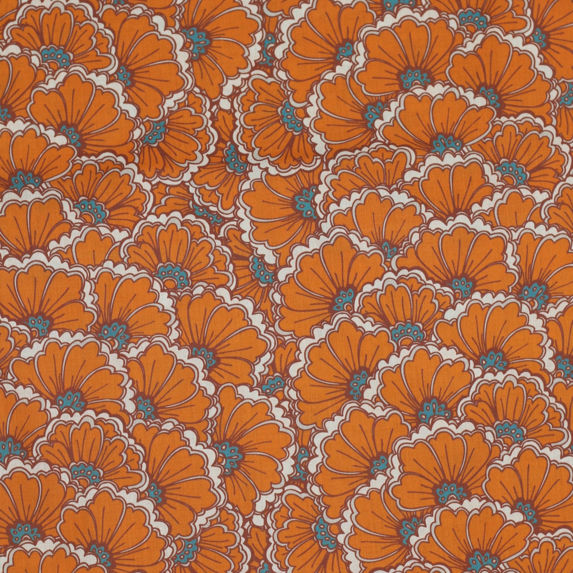 cotton قطن